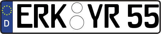 ERK-YR55