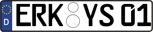 ERK-YS01