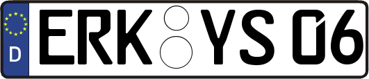 ERK-YS06