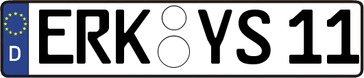 ERK-YS11