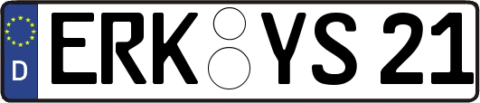 ERK-YS21