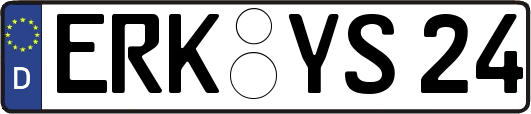ERK-YS24