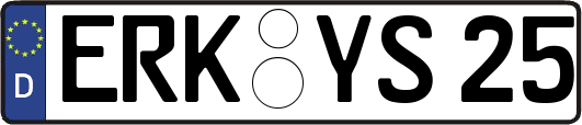 ERK-YS25