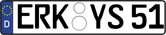 ERK-YS51