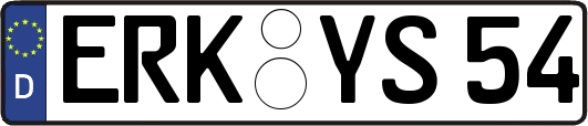 ERK-YS54