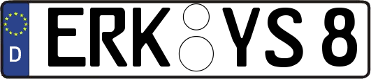 ERK-YS8