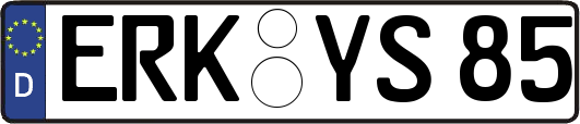 ERK-YS85