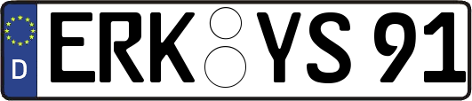 ERK-YS91
