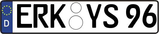 ERK-YS96