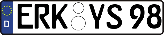 ERK-YS98