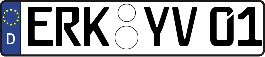 ERK-YV01