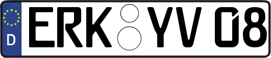 ERK-YV08