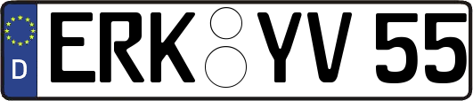 ERK-YV55