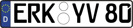 ERK-YV80