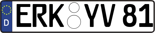 ERK-YV81