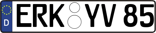 ERK-YV85