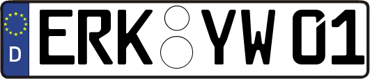 ERK-YW01