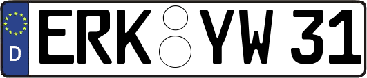 ERK-YW31