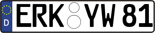 ERK-YW81
