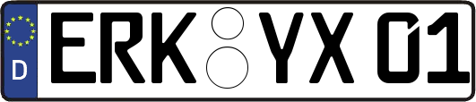 ERK-YX01
