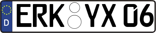ERK-YX06