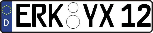 ERK-YX12