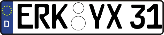 ERK-YX31