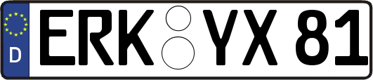 ERK-YX81