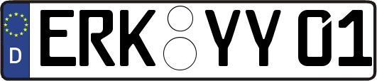 ERK-YY01