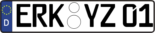 ERK-YZ01
