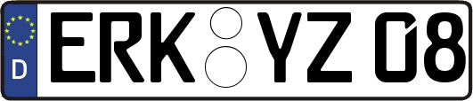 ERK-YZ08