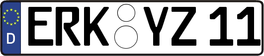 ERK-YZ11