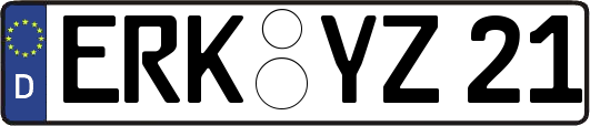 ERK-YZ21