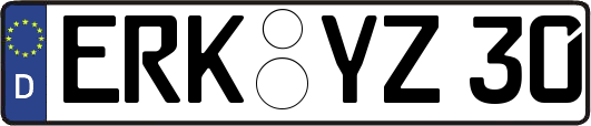 ERK-YZ30