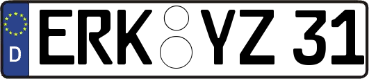 ERK-YZ31