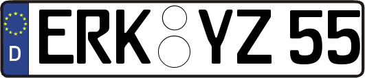 ERK-YZ55