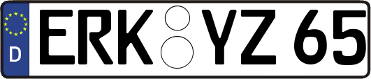 ERK-YZ65