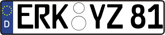 ERK-YZ81