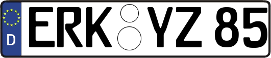 ERK-YZ85
