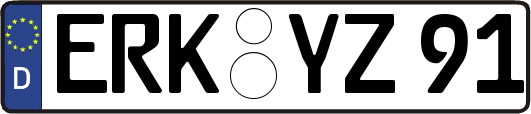 ERK-YZ91