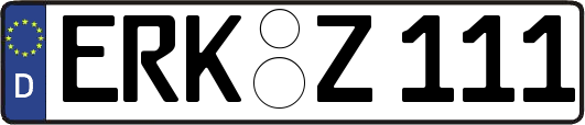 ERK-Z111