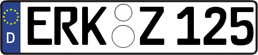 ERK-Z125
