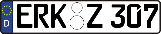 ERK-Z307