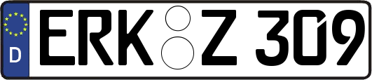 ERK-Z309