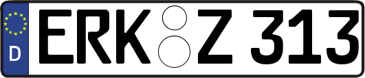 ERK-Z313