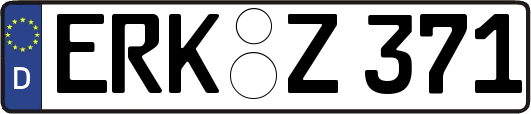 ERK-Z371