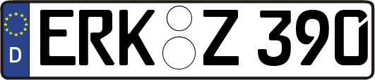 ERK-Z390