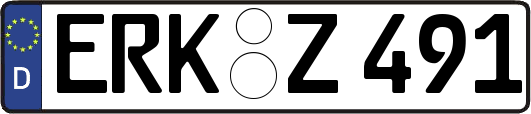 ERK-Z491