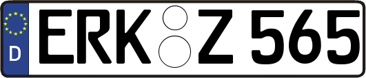 ERK-Z565