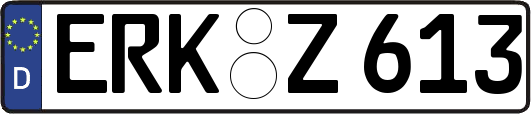 ERK-Z613
